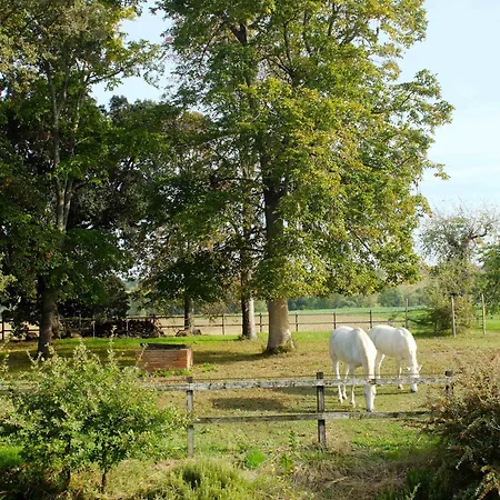 Le Cavalier * Caraman